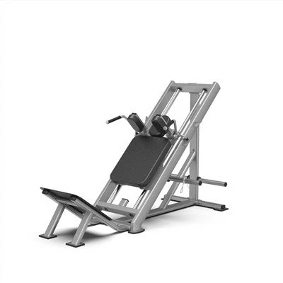 Hack Squat